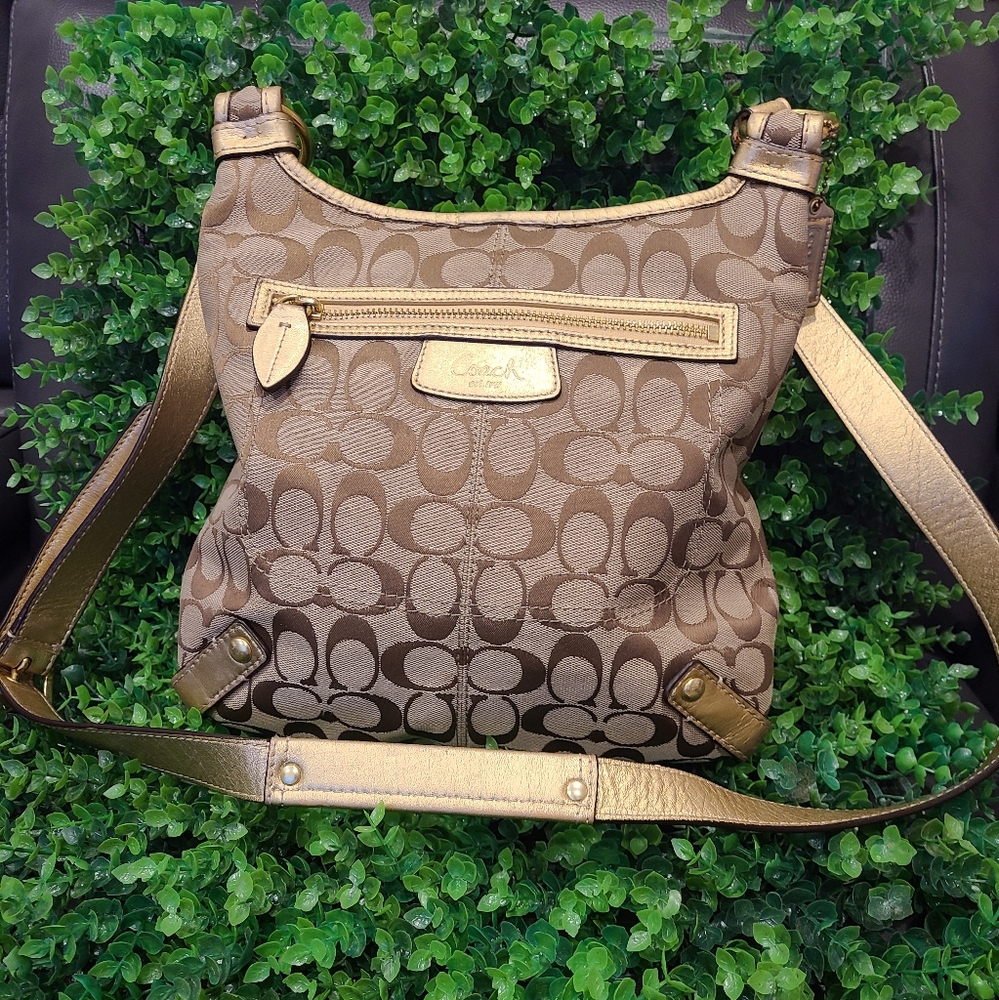 Coach Brown and Gold Bag